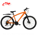 Kohlefaser Rahmen Mountainbike MTB